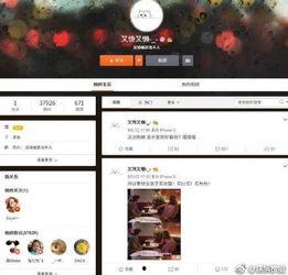 网红资料爆料大全下载最新,揭秘最新网红动态与幕后故事