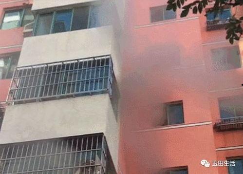 袁家岗医院爆料案件最新,惊人内幕揭露医疗乱象