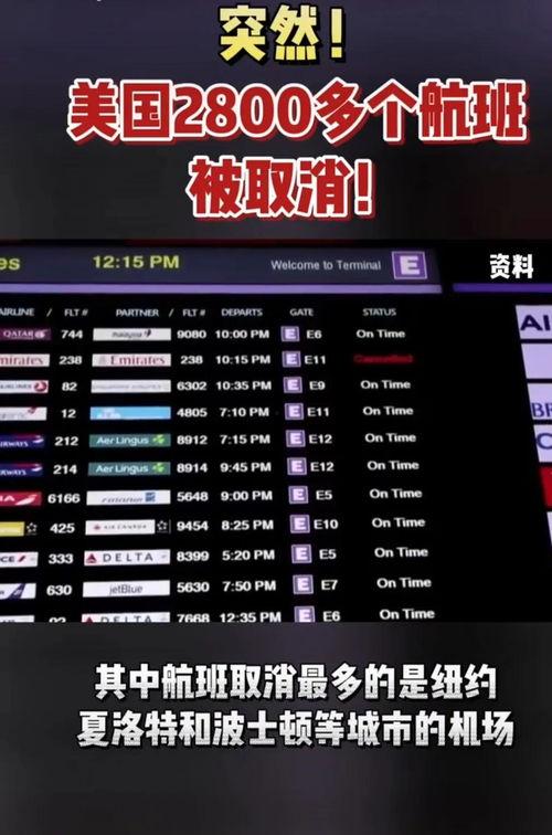 美国最新资讯爆料